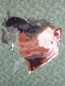 10649032_782786865148741_7305200915570710988_o