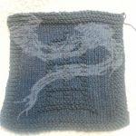 Tardis washcloth