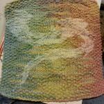 dish cloth