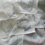 Gallifrayen Dishtowels